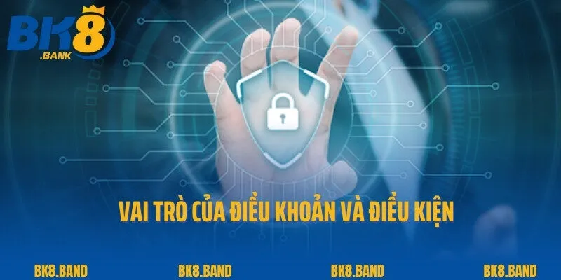 Điều Khoản Và Điều Kiện 1 Vai trò của điều khoản và điều kiện